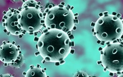 Coronavirus Update for Skydiving